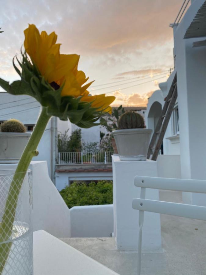Suites Edivino Design Capri Dış mekan fotoğraf