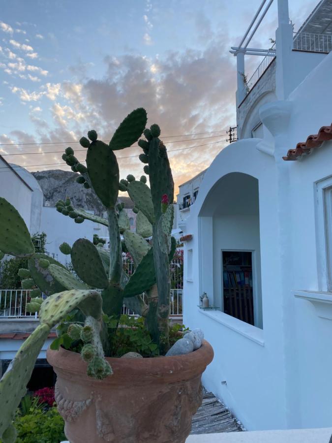 Suites Edivino Design Capri Dış mekan fotoğraf