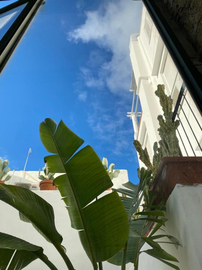 Suites Edivino Design Capri Dış mekan fotoğraf