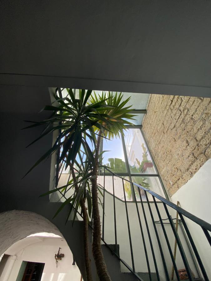 Suites Edivino Design Capri Dış mekan fotoğraf