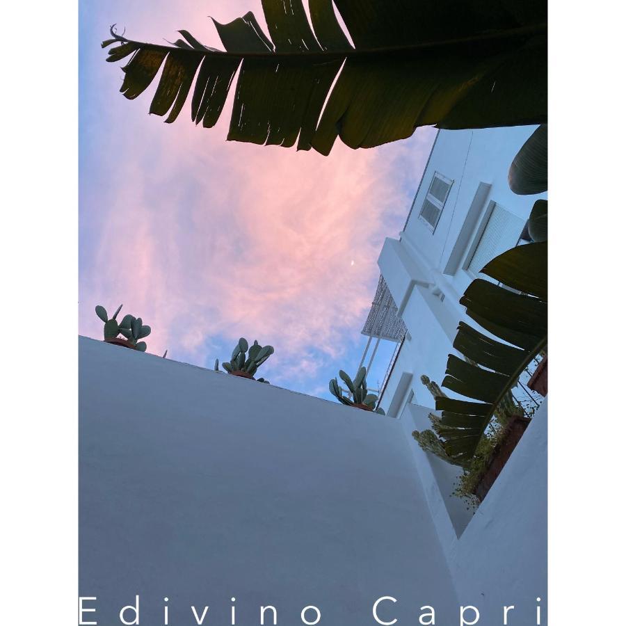 Suites Edivino Design Capri Dış mekan fotoğraf