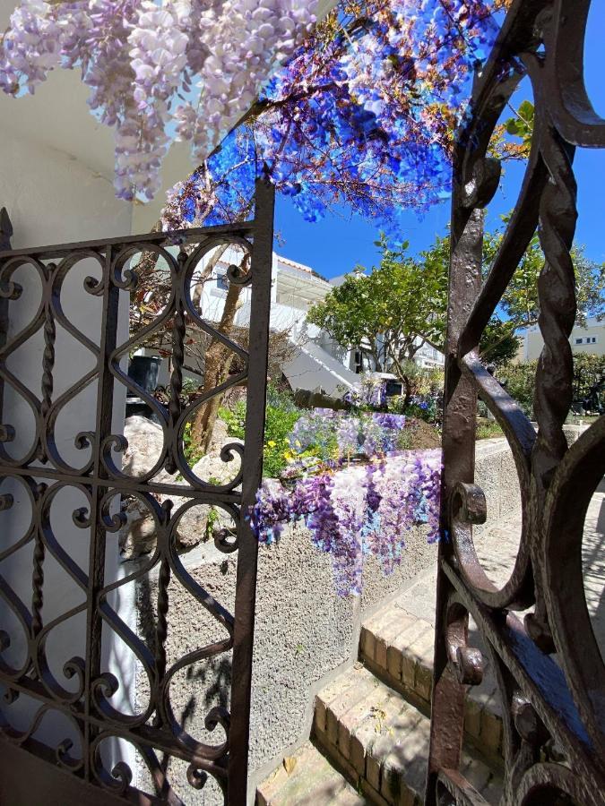 Suites Edivino Design Capri Dış mekan fotoğraf